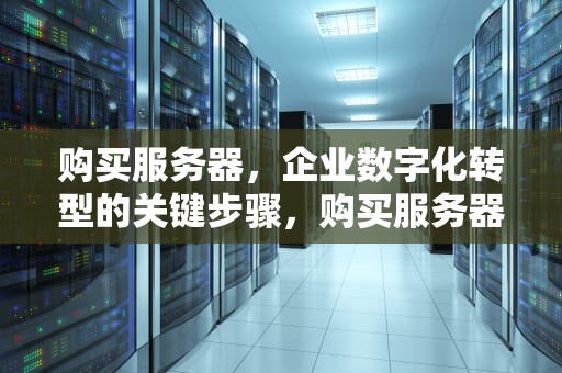 购买服务器，企业数字化转型的关键步骤，购买服务器一年多少钱