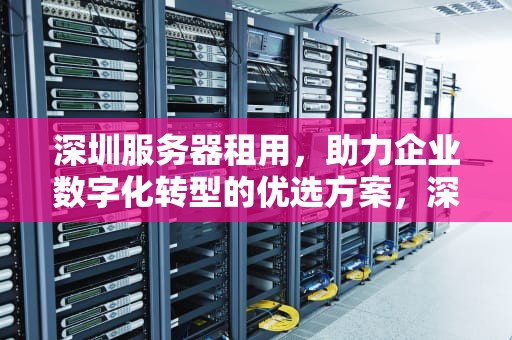 深圳服务器租用，助力企业数字化转型的优选方案，深圳服务器租用公司