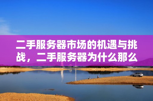 二手服务器市场的机遇与挑战，二手服务器为什么那么便宜