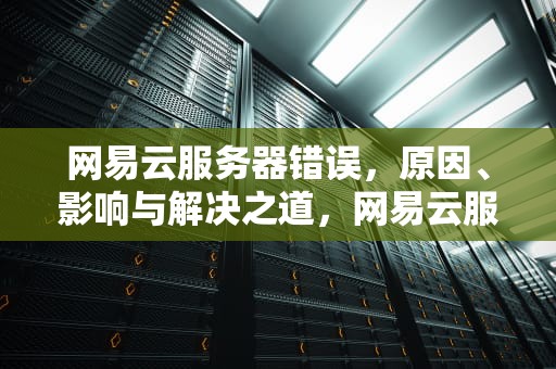 网易云服务器错误，原因、影响与解决之道，网易云服务器错误是怎么回事