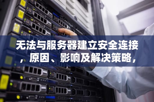 无法与服务器建立安全连接，原因、影响及解决策略，无法与服务器建立安全连接怎么解决