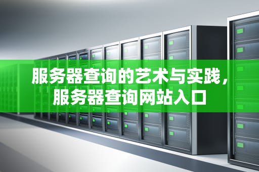 服务器查询的艺术与实践，服务器查询网站入口