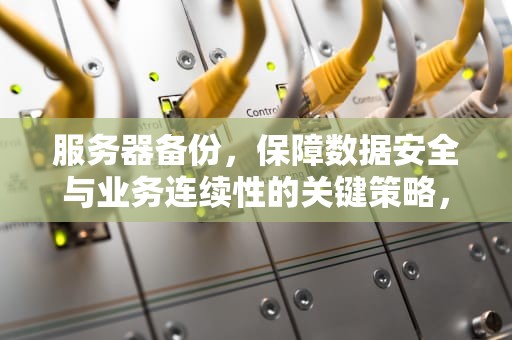 服务器备份，保障数据安全与业务连续性的关键策略，服务器备份方式有哪些?