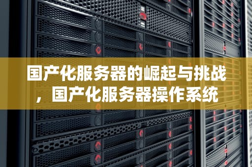 国产化服务器的崛起与挑战，国产化服务器操作系统