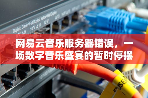 网易云音乐服务器错误，一场数字音乐盛宴的暂时停摆，网易云音乐服务器错误502
