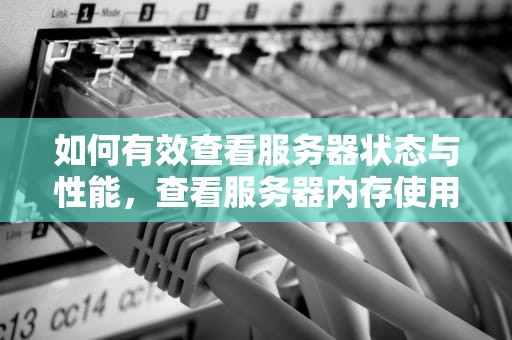 如何有效查看服务器状态与性能，查看服务器内存使用情况命令
