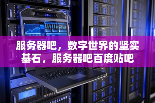 服务器吧，数字世界的坚实基石，服务器吧百度贴吧