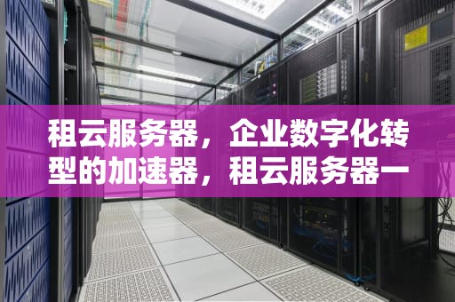 租云服务器，企业数字化转型的加速器，租云服务器一个月多少钱