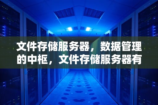 文件存储服务器，数据管理的中枢，文件存储服务器有哪些
