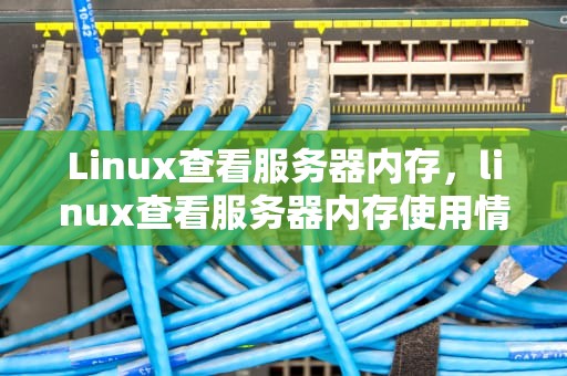 Linux查看服务器内存，linux查看服务器内存使用情况