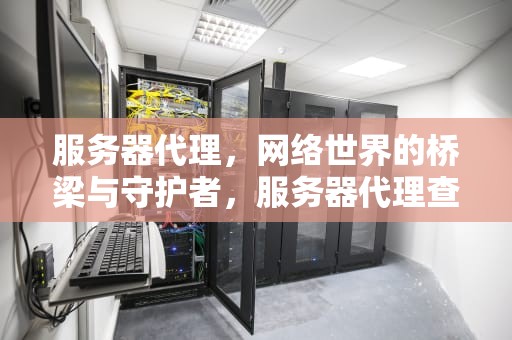 服务器代理，网络世界的桥梁与守护者，服务器代理查找失败是什么意思