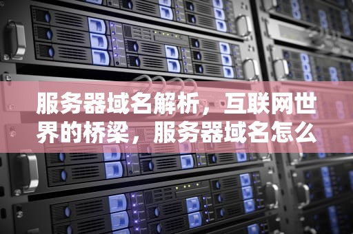 服务器域名解析，互联网世界的桥梁，服务器域名怎么查