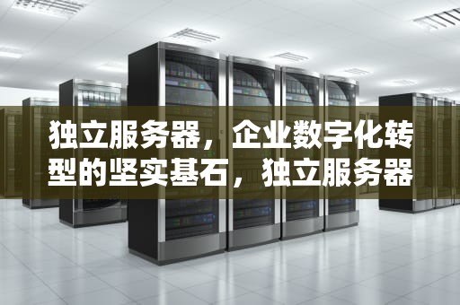 独立服务器，企业数字化转型的坚实基石，独立服务器租用哪家好