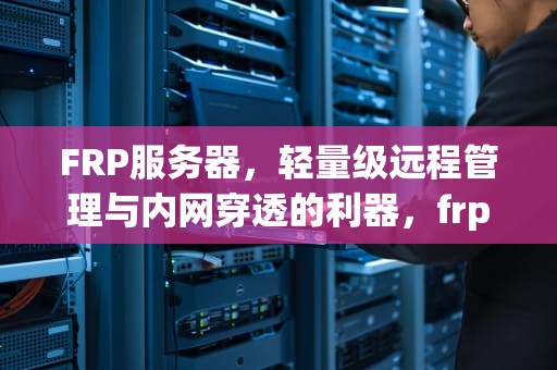 FRP服务器，轻量级远程管理与内网穿透的利器，frp服务器搭建