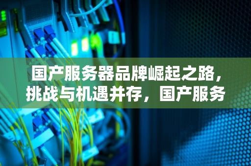 国产服务器品牌崛起之路，挑战与机遇并存，国产服务器品牌前十大排名