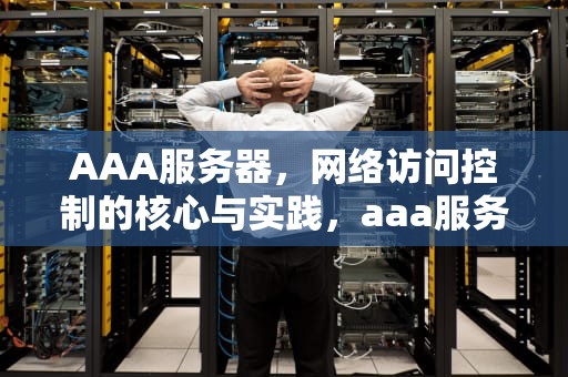 AAA服务器，网络访问控制的核心与实践，aaa服务器的主要功能是什么