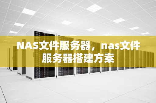 NAS文件服务器，nas文件服务器搭建方案