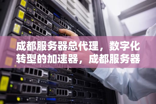 成都服务器总代理，数字化转型的加速器，成都服务器总代理电话