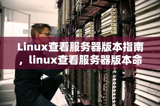 Linux查看服务器版本指南，linux查看服务器版本命令