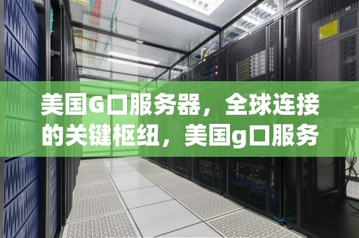 美国G口服务器，全球连接的关键枢纽，美国g口服务器租用
