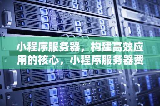 小程序服务器，构建高效应用的核心，小程序服务器费用一年多少