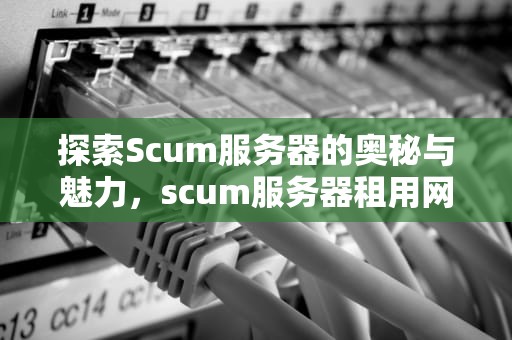 探索Scum服务器的奥秘与魅力，scum服务器租用网站