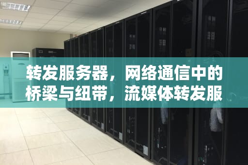 转发服务器，网络通信中的桥梁与纽带，流媒体转发服务器