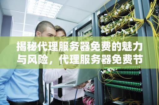 揭秘代理服务器免费的魅力与风险，代理服务器免费节点