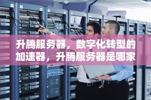 升腾服务器，数字化转型的加速器，升腾服务器是哪家公司生产的