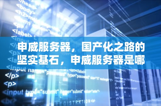 申威服务器，国产化之路的坚实基石，申威服务器是哪家公司的