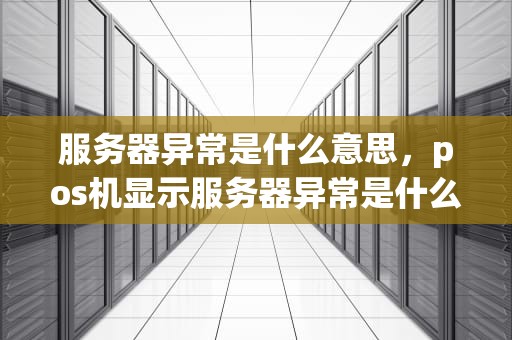 服务器异常是什么意思，pos机显示服务器异常是什么意思