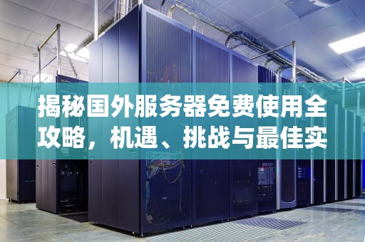 揭秘国外服务器免费使用全攻略，机遇、挑战与最佳实践，国外服务器免费ip地址