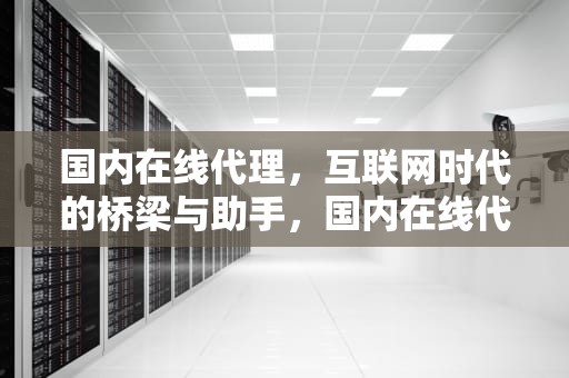 国内在线代理，互联网时代的桥梁与助手，国内在线代理网页