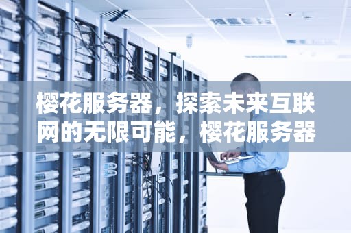樱花服务器，探索未来互联网的无限可能，樱花服务器我的世界