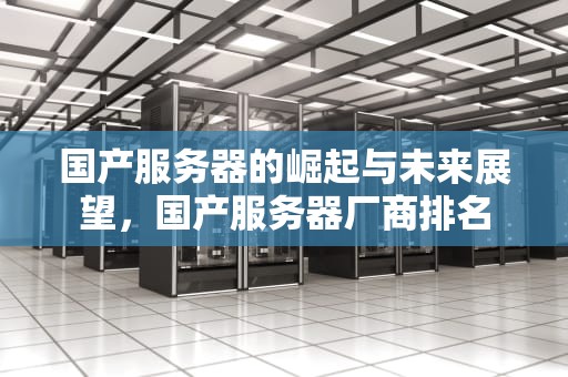 国产服务器的崛起与未来展望，国产服务器厂商排名