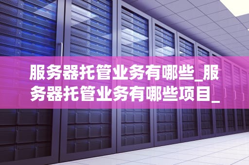 服务器托管业务有哪些_服务器托管业务有哪些项目_服务器托管业务及其重要性