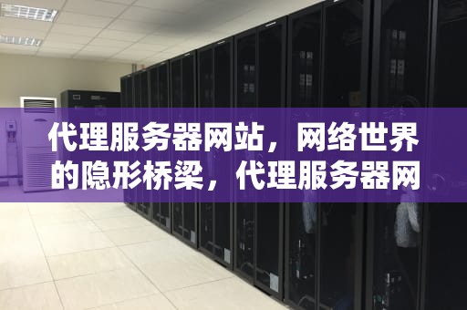 代理服务器网站，网络世界的隐形桥梁，代理服务器网站推荐