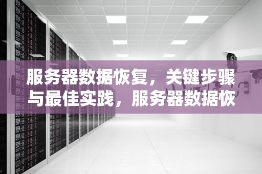 服务器数据恢复，关键步骤与最佳实践，服务器数据恢复价格