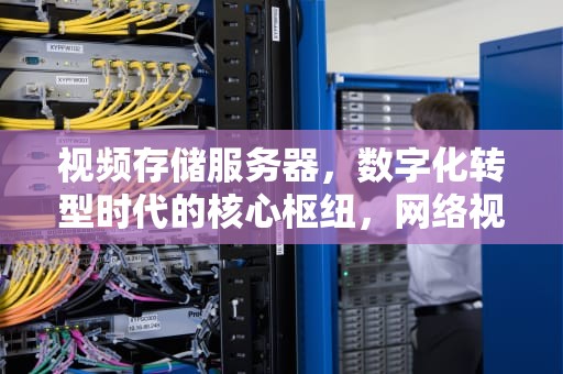 视频存储服务器，数字化转型时代的核心枢纽，网络视频存储服务器