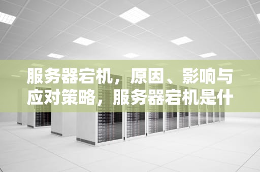 服务器宕机，原因、影响与应对策略，服务器宕机是什么意思
