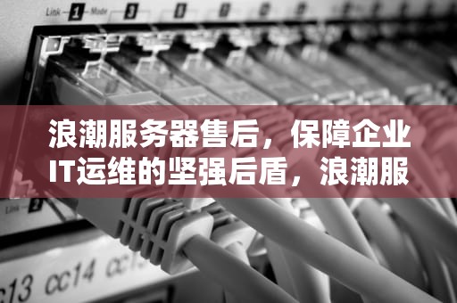 浪潮服务器售后，保障企业IT运维的坚强后盾，浪潮服务器售后电话技术支持