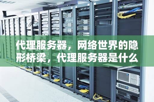 代理服务器，网络世界的隐形桥梁，代理服务器是什么意思怎么填