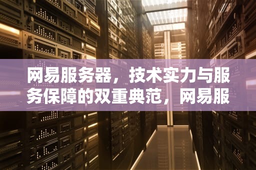 网易服务器，技术实力与服务保障的双重典范，网易服务器为什么这么卡