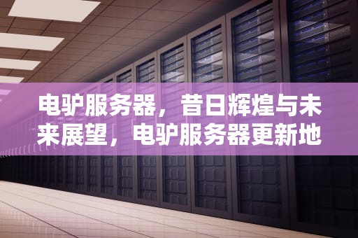电驴服务器，昔日辉煌与未来展望，电驴服务器更新地址