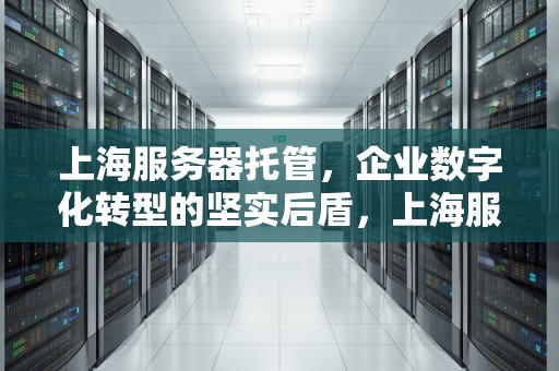上海服务器托管，企业数字化转型的坚实后盾，上海服务器托管租用公司