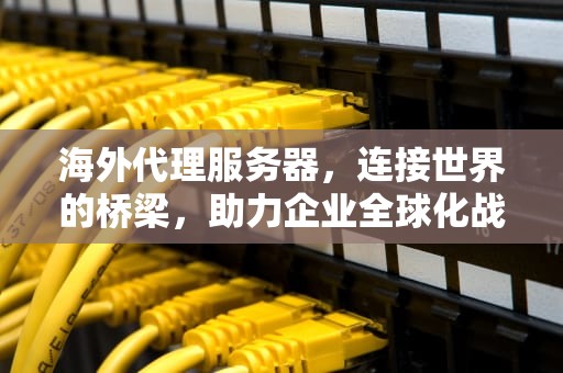 海外代理服务器，连接世界的桥梁，助力企业全球化战略，海外代理服务器地址