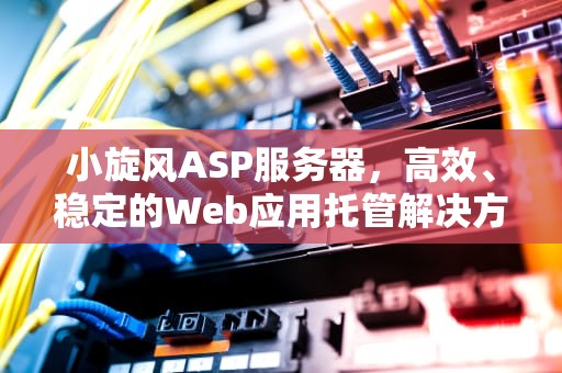 小旋风ASP服务器，高效、稳定的Web应用托管解决方案，小旋风x9站群