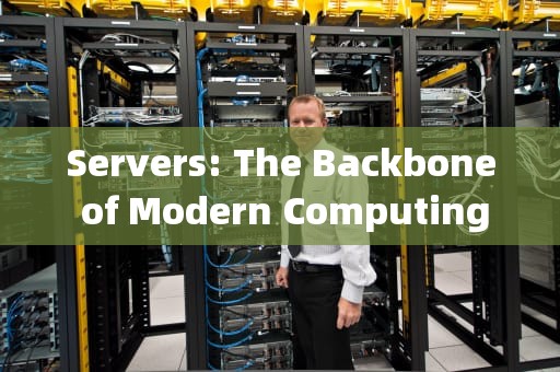 Servers: The Backbone of Modern Computing，服务器英文简称