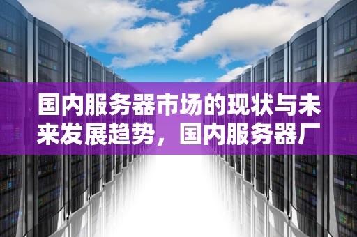 国内服务器市场的现状与未来发展趋势，国内服务器厂商排名
