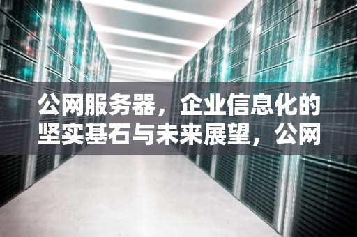 公网服务器，企业信息化的坚实基石与未来展望，公网服务器购买